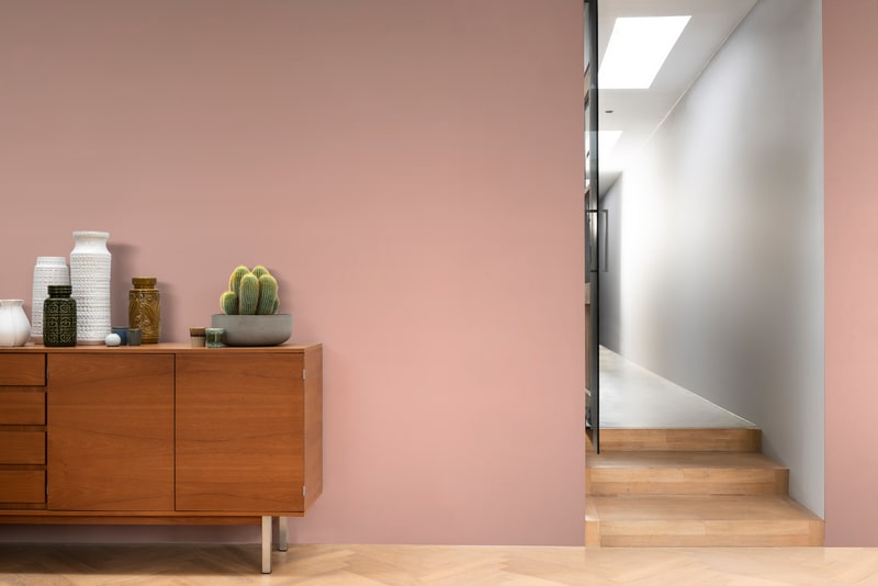 Paintex Star Semi-Plastic Emulsion