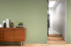 Paintex Star Semi-Plastic Emulsion