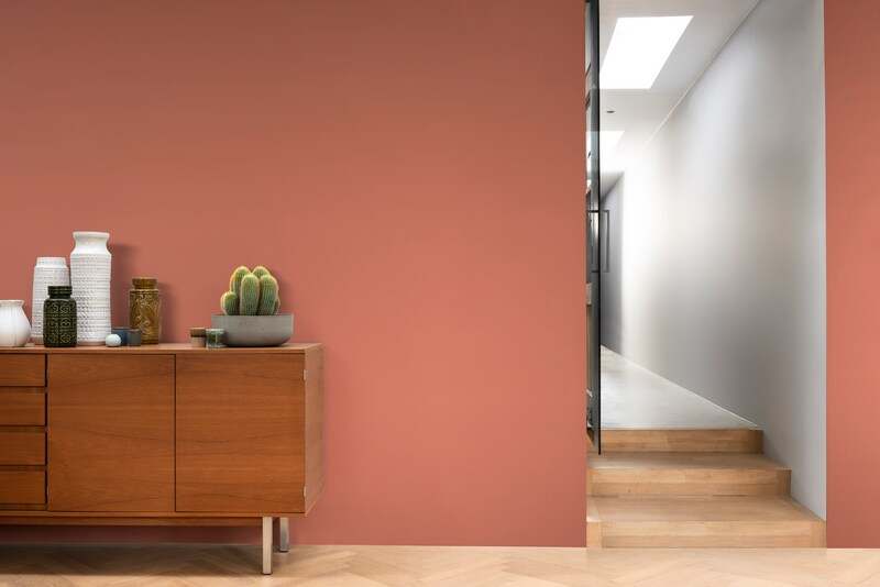 Paintex Star Semi-Plastic Emulsion