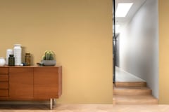 Paintex Ultratex Vinyl Emulsion