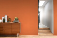 Decora Matte - Extra Fosco