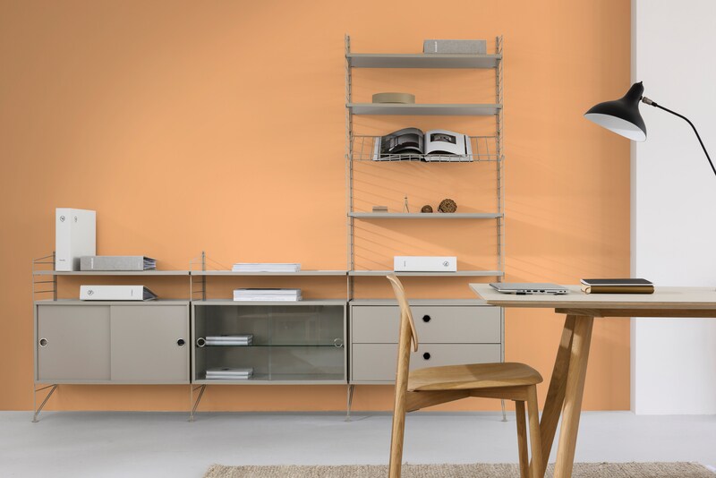 Dulux Paint Mixing Eggshell