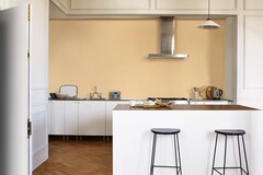 Dulux Promise Gloss Enamel