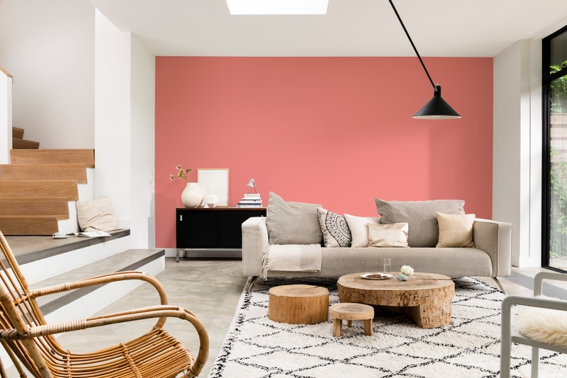 Dulux PROFESSIONAL Rezisto 5