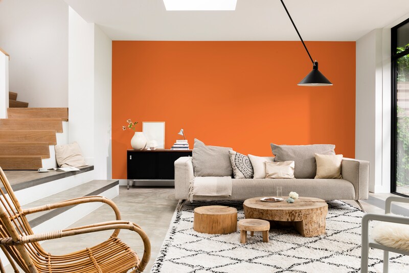 Dulux Paint Mixing Eggshell