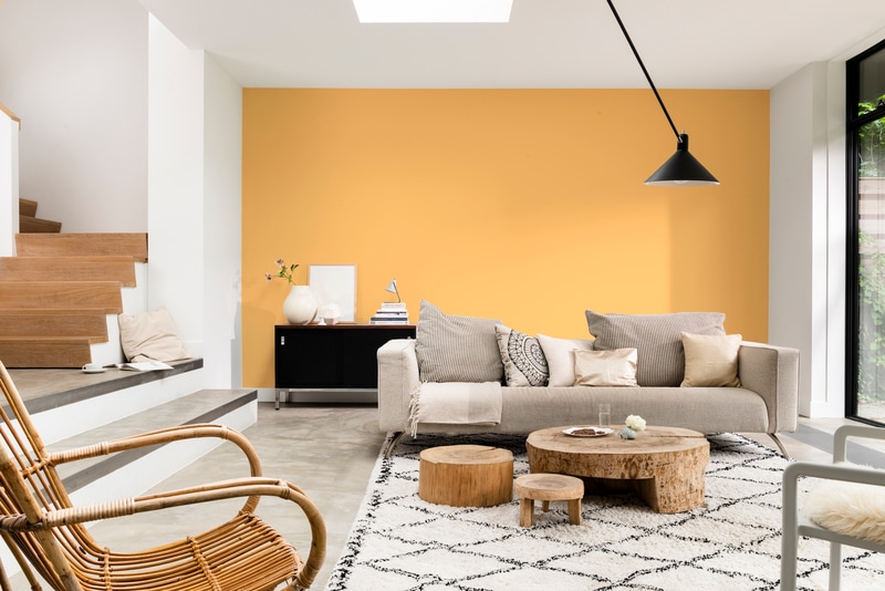 Dulux A Nagyvilág Színei