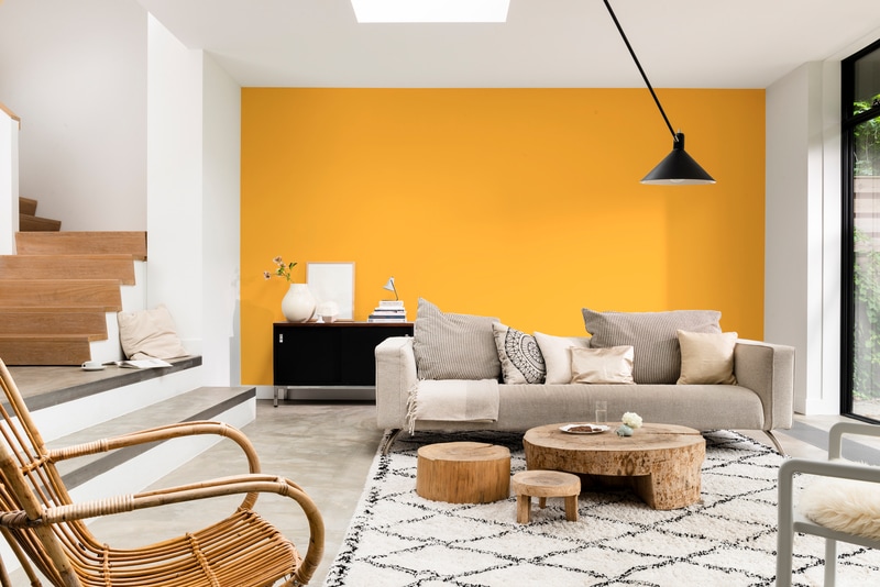 Dulux PROFESSIONAL Rezisto 5