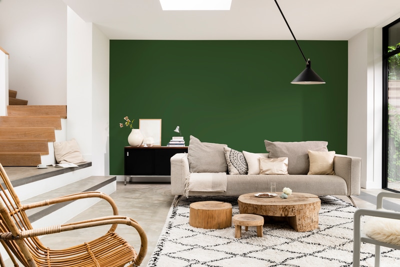 Dulux PROFESSIONAL Rezisto 5