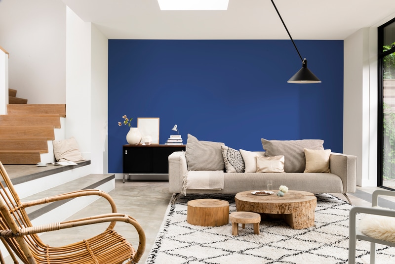 Dulux PROFESSIONAL Rezisto 5