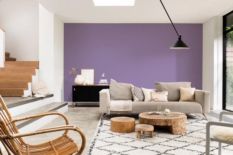 Dulux PROFESSIONAL Rezisto 5