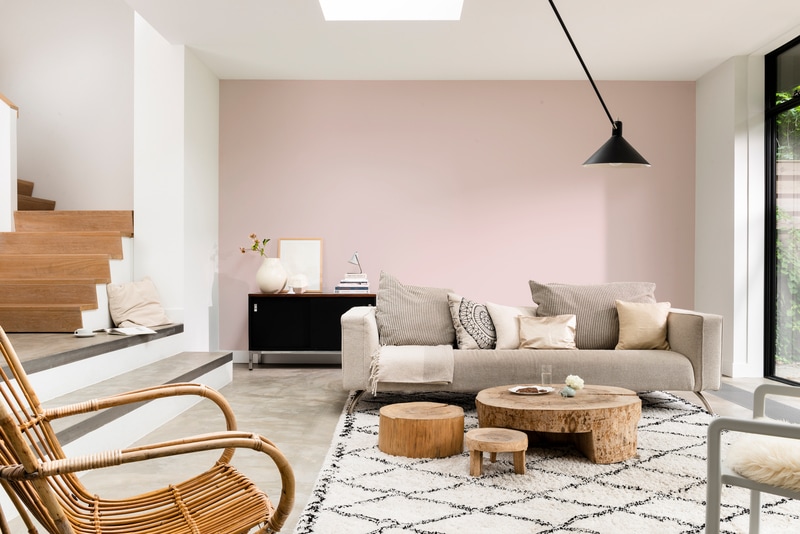 Dulux PROFESSIONAL Rezisto 5