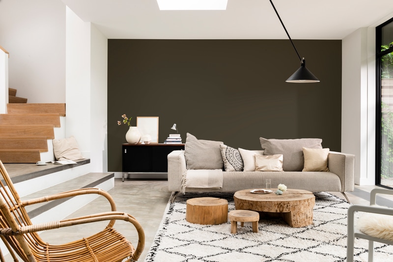 Dulux PROFESSIONAL Rezisto 5