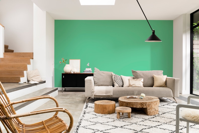 Dulux PROFESSIONAL Rezisto 5