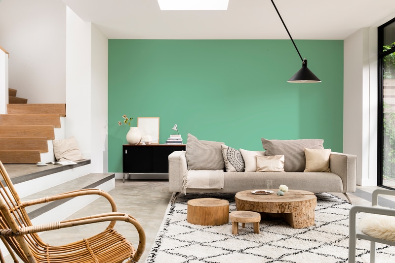 Dulux PROFESSIONAL Rezisto 5