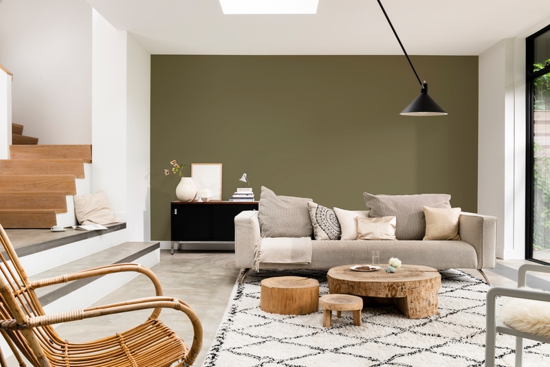 Dulux PROFESSIONAL Rezisto 5