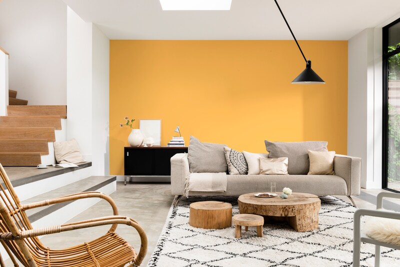 Dulux Paint Mixing Silk