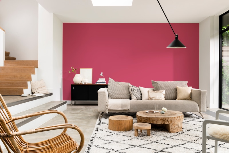 Dulux PROFESSIONAL Rezisto 5