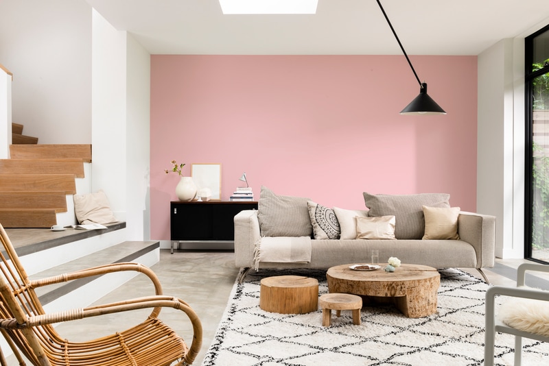 Expert Muur Binnen Mix