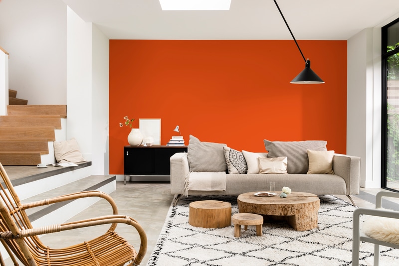 Dulux PROFESSIONAL Rezisto 5