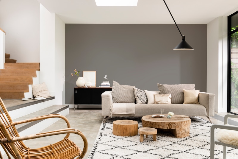 Pure by FlexaColorLab Kleurtester