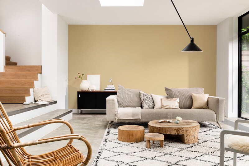 Pure by FlexaColorLab Kleurtester