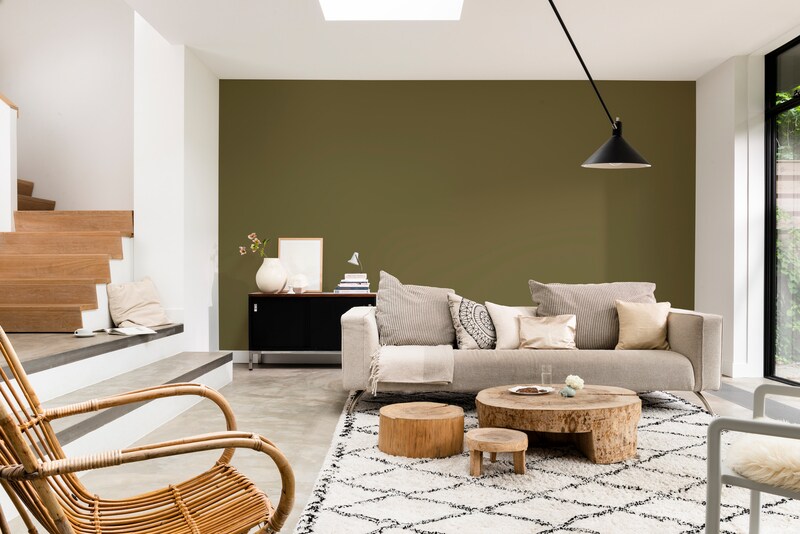 Dulux PROFESSIONAL Rezisto 5