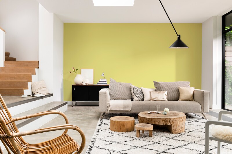 Dulux Rapidry Satin Matt