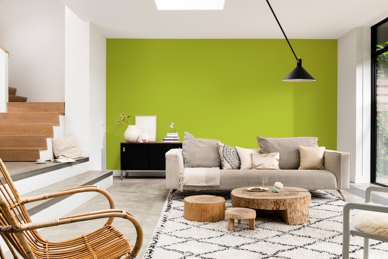 Dulux Rapidry Satin Matt