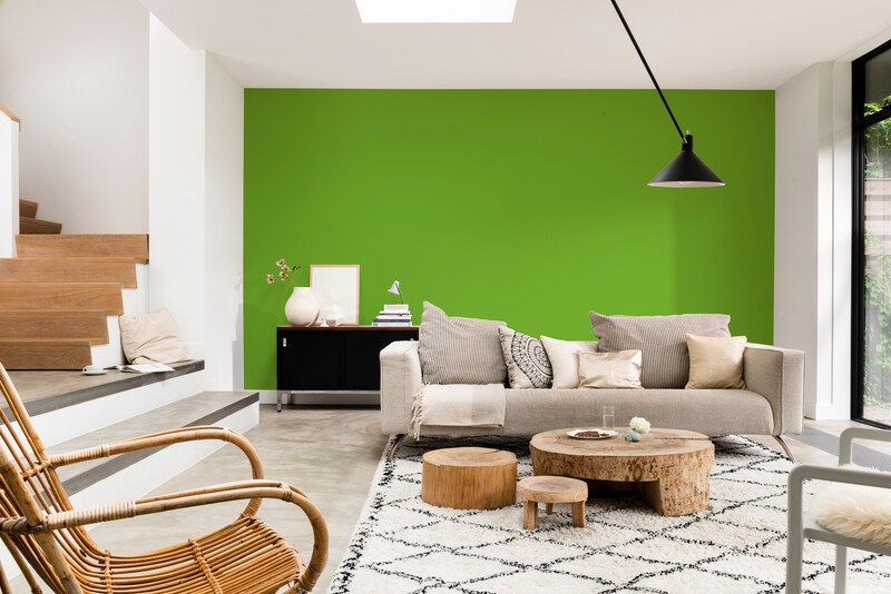 Dulux Rapidry Satin Matt