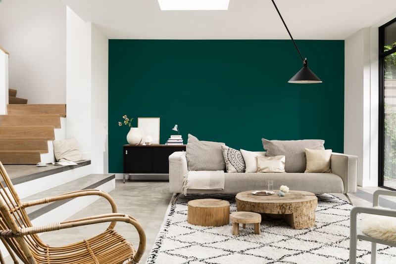 Dulux PROFESSIONAL Rezisto 5