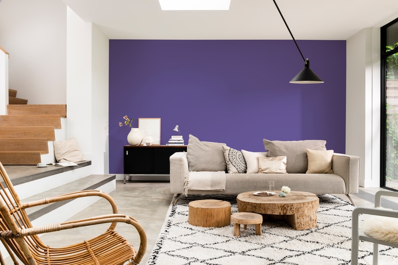 Dulux PROFESSIONAL Rezisto 5