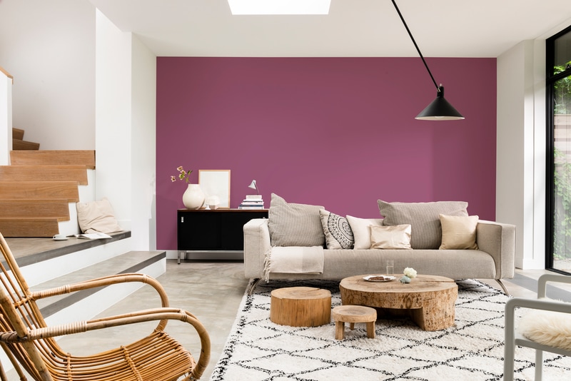 Dulux PROFESSIONAL Rezisto 5