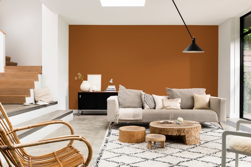 Dulux PROFESSIONAL Rezisto 5