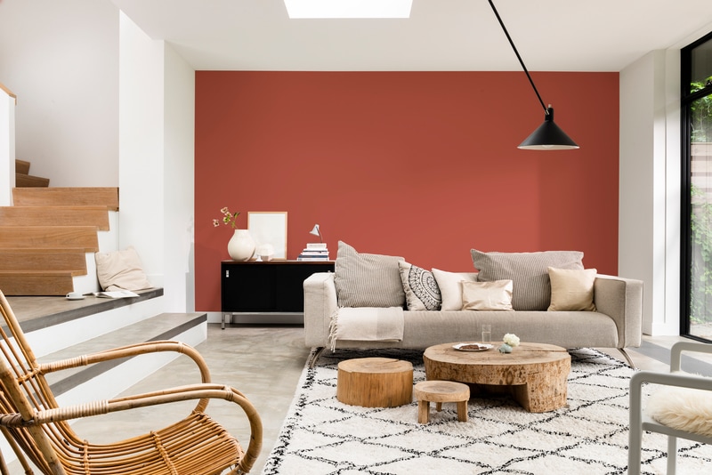 Dulux PROFESSIONAL Rezisto 5