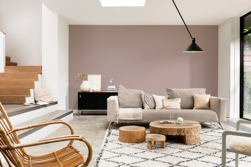 Dulux PROFESSIONAL Rezisto 5