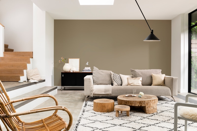 Dulux PROFESSIONAL Rezisto 5