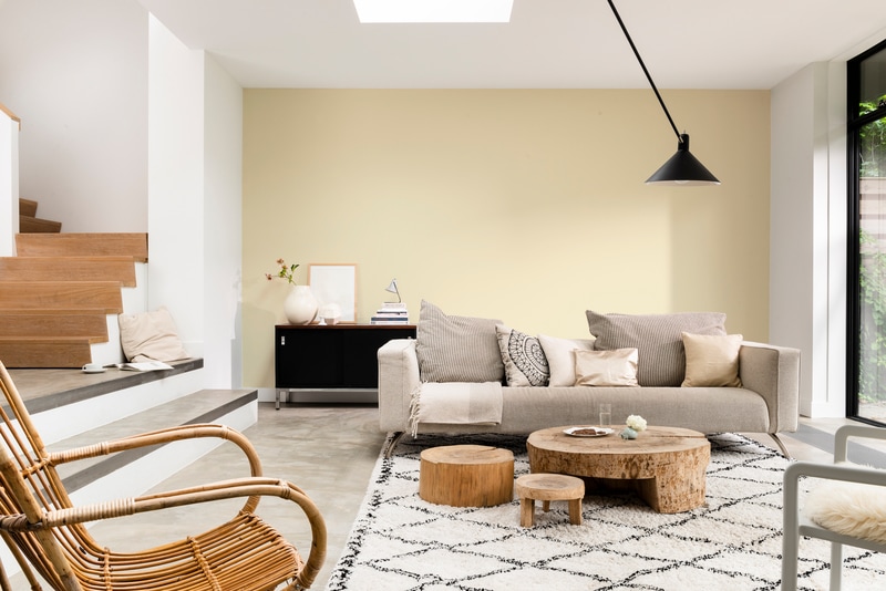 Dulux Rapidry Satin Matt