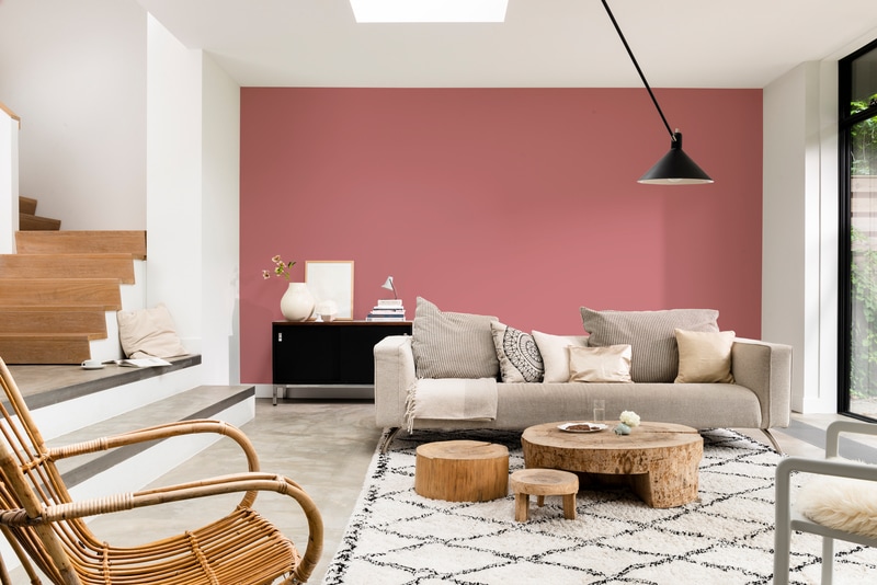 Dulux PROFESSIONAL Rezisto 5