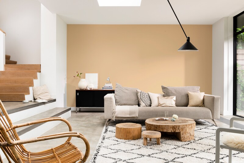 Dulux Pentalite