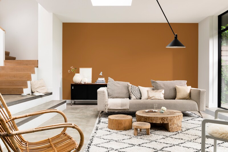 Pure by FlexaColorLab Kleurtester