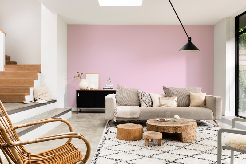 Dulux PROFESSIONAL Rezisto 5