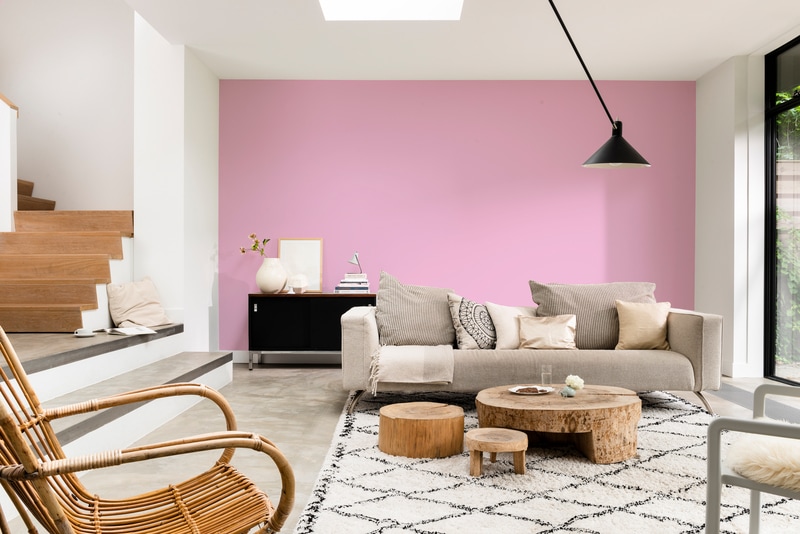 Dulux PROFESSIONAL Rezisto 5