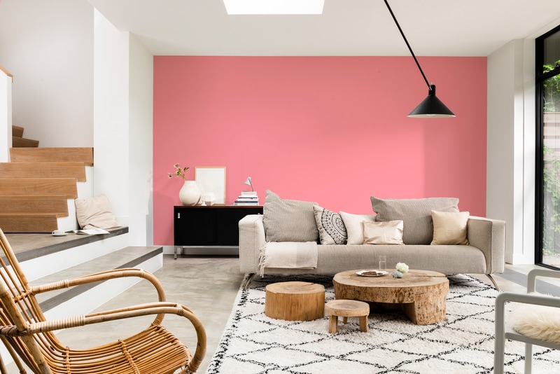 Dulux PROFESSIONAL Rezisto 5