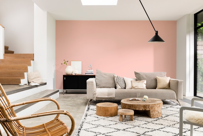 Dulux PROFESSIONAL Rezisto 5