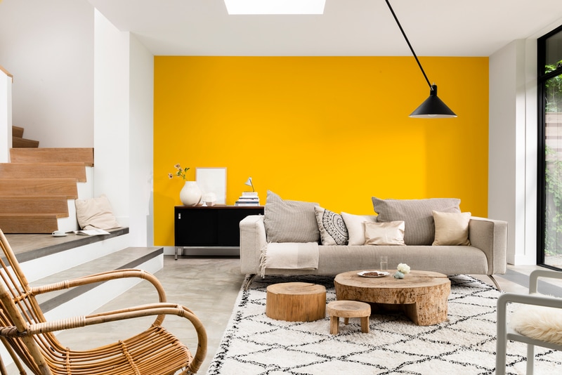 Dulux Paint Mixing Soft Sheen