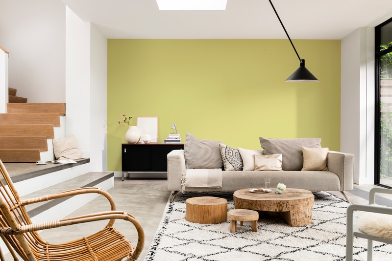 Dulux Rapidry Satin Matt