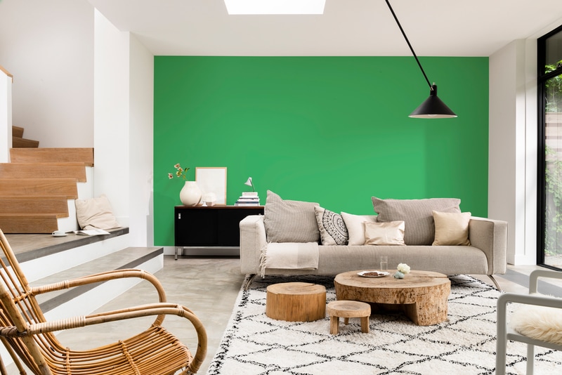 Dulux PROFESSIONAL Rezisto 5