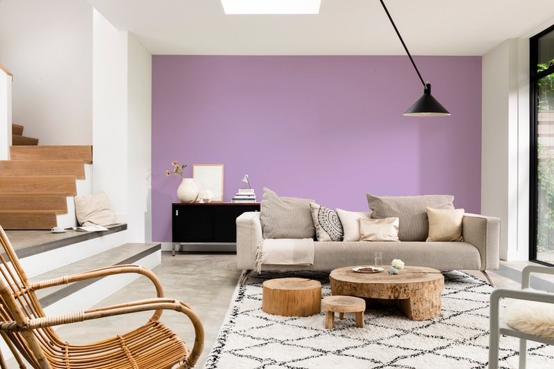 Dulux PROFESSIONAL Rezisto 5