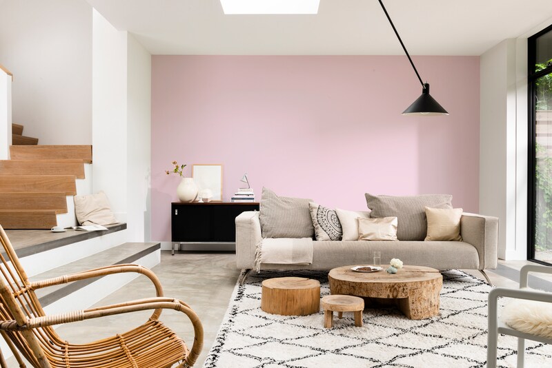 Dulux PROFESSIONAL Rezisto 5