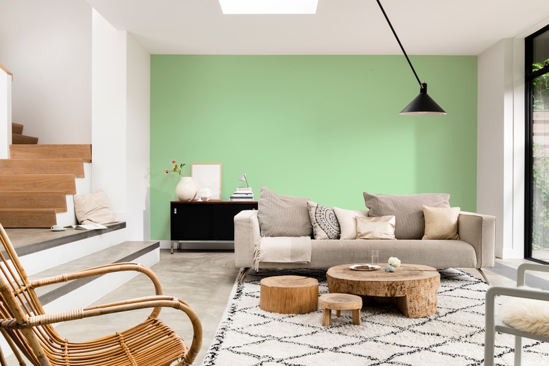 Dulux PROFESSIONAL Rezisto 5